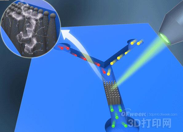 1448329243113801.jpg 3.jpg