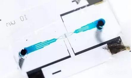 1461719126707012.jpg 20160427090419.jpg