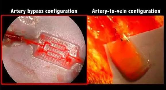 1466132548787137.jpg QQ截圖20160617110212.jpg