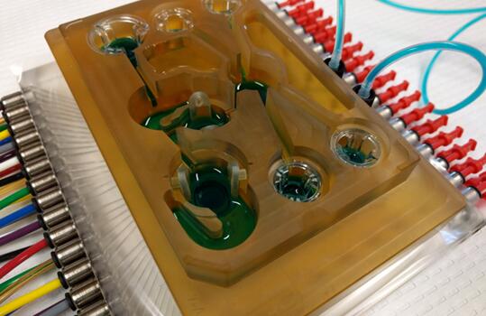 麻省理工學院研制出的擁有7種“器官”的人體芯片