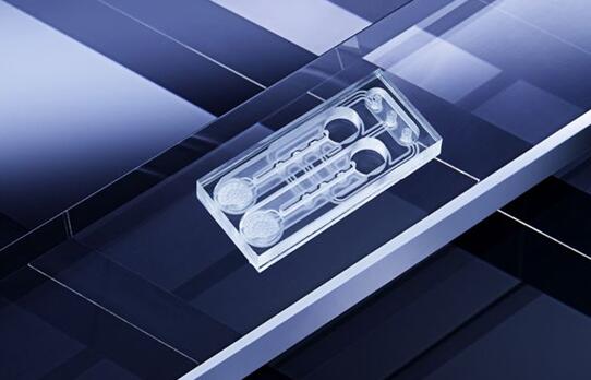 器官芯片可以變革藥物測試