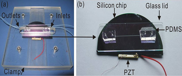 1476321345233576.jpg 微流控芯片