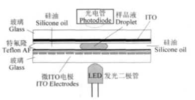 1477359618114787.jpg QQ截圖20161025093955.jpg