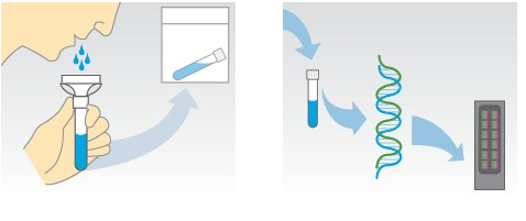 1479434466138205.png 5937.png