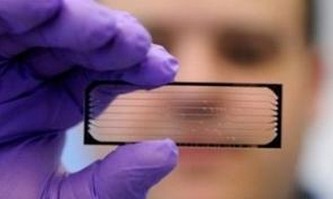 1479434819120605.jpg 01300309316150138240983773583.jpg