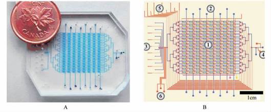 微流控芯片|微流控芯片批量加工