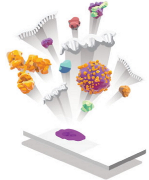 1481874574116469.jpg http://www.huihao027.com/upload/201612/1481874223132107.jpg