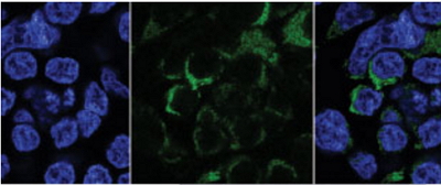 1481874604967010.jpg http://www.huihao027.com/upload/201612/1481874223116814.jpg