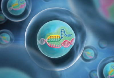 1481874627968215.jpg http://www.huihao027.com/upload/201612/1481874224317660.jpg