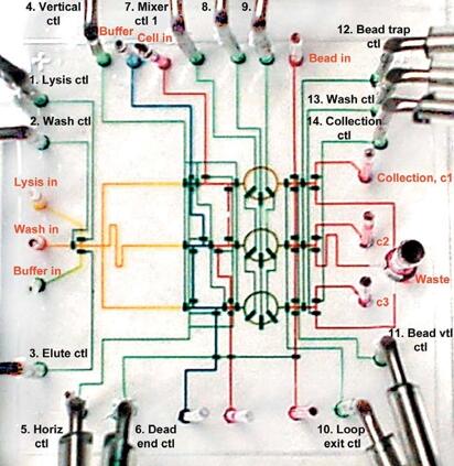 1482114116652835.jpg 20161219102114.jpg