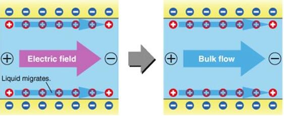 1482114315684807.jpg 20161219102444.jpg