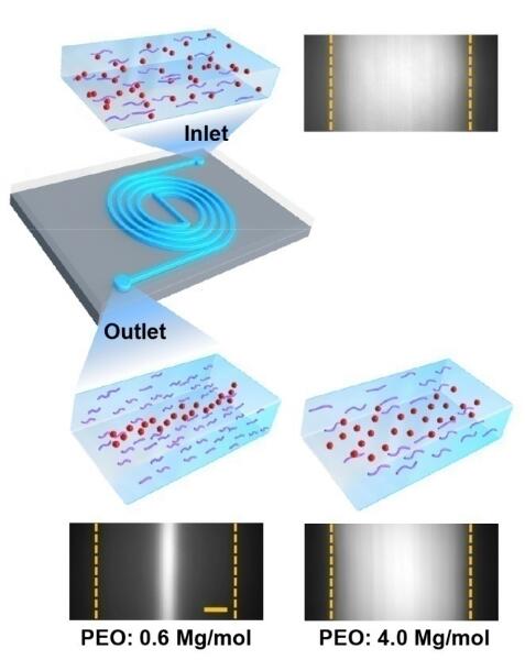 1482370929205433.jpg 20161222094055.jpg