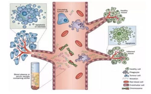 1483433038125846.png 10-37-33-34-2469.png