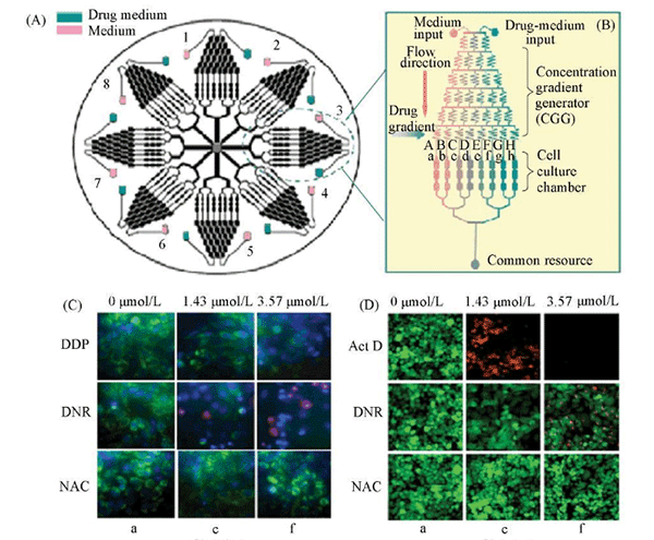 1484035067621249.png 微流控實驗室