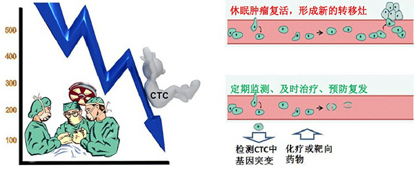 1484727878228412.png 微流控芯片