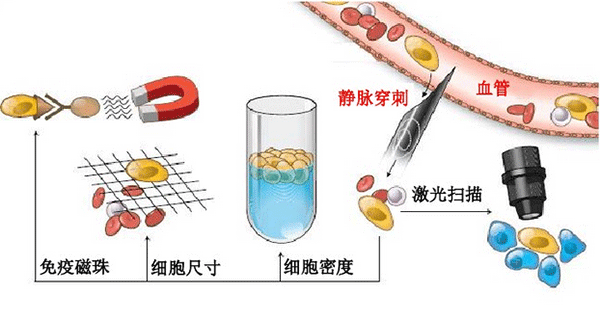 1484727910524385.png 微流控