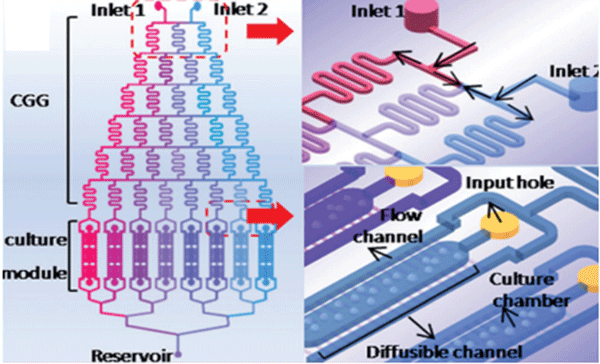 1484901436870059.png 微流控芯片