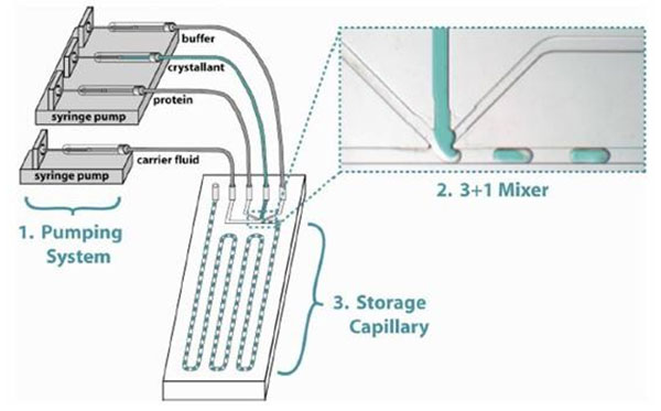 1490065410201819.jpg 微流控技術