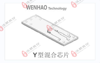 Y-type hybrid microfluidic chip Y-type hybrid microfluidic chip