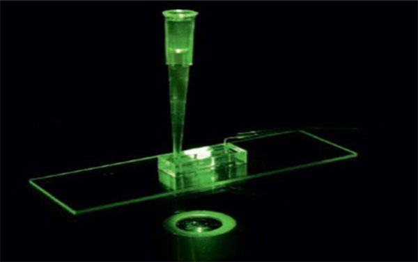 生物芯片 生物芯片