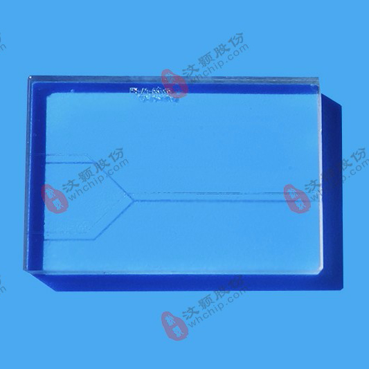 汶顥微流控芯片技術公司生產的芯片