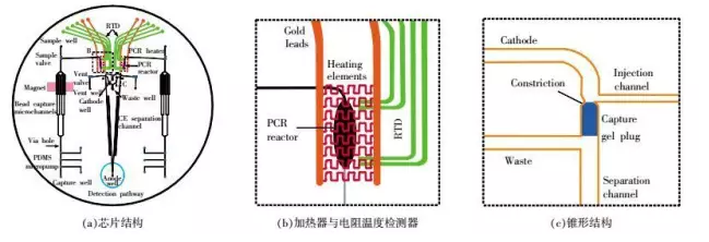 DNA芯片-全集成芯片原理結構