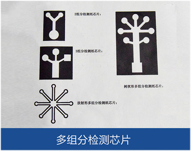 多組分檢測芯片