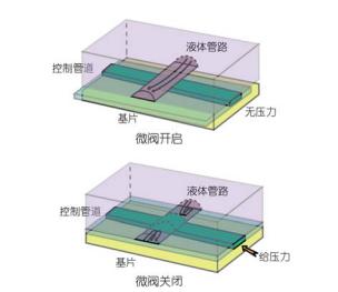 利用多層軟蝕刻制備微流控壓力可控閥門的示意圖