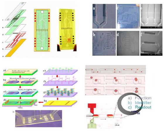 微流控生物芯片 微流控生物芯片