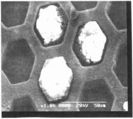 殘留有 SU- 8 的DNA芯片模具的電鏡照片 Fig. 1 SEM picture of DNA mold with SU- 8. 殘留有 SU- 8 的DNA芯片模具的電鏡照片 Fig. 1 SEM picture of DNA mold with SU- 8.