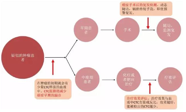CTC在癌癥治療中的應用場景 CTC在癌癥治療中的應用場景