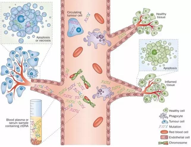 液態活檢 液態活檢