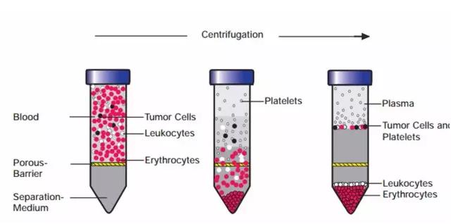 密度梯度離心法 密度梯度離心法