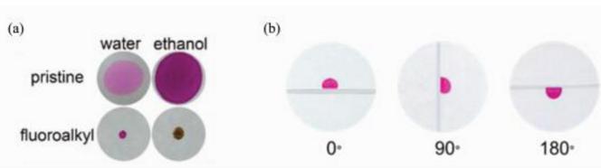 (a)染料水溶液和乙醇溶液分別滴加到原始濾紙上和全氟辛基二氧化硅修飾的濾紙上，及(b)水滴在不同旋轉(zhuǎn)角度全氟辛基二氧化硅修飾的濾紙表面上的照片