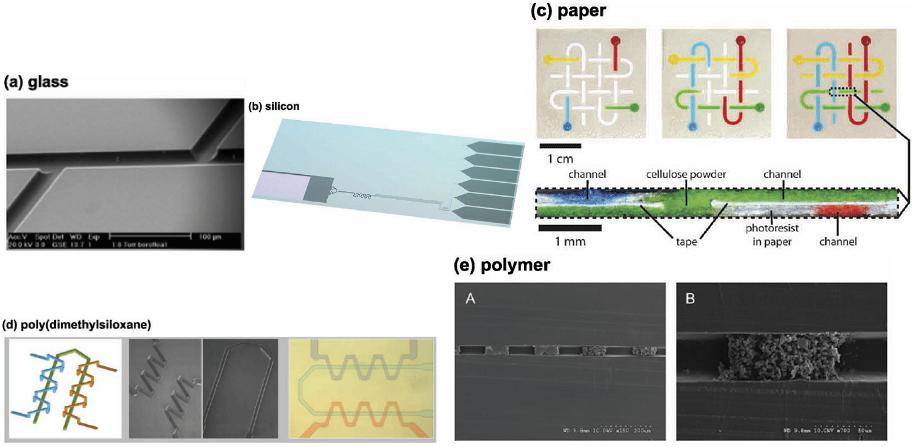 玻璃、PDMS、紙、硅、PMMA材質芯片示范圖對比