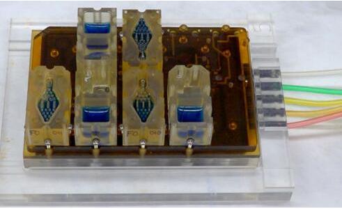 EVATAR是一款口袋大小的女性生殖系統模型,血樣流體(藍色)將流經含有微型器官的孔 EVATAR是一款口袋大小的女性生殖系統模型,血樣流體(藍色)將流經含有微型器官的孔