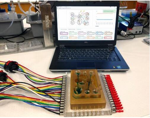 研究人員將多器官平臺連接到相關軟件,每個孔都連接有一個微型生理系統,如肺、腸道,或中樞神經系統,流體流經通道以模擬生理心臟輸出 研究人員將多器官平臺連接到相關軟件,每個孔都連接有一個微型生理系統,如肺、腸道,或中樞神經系統,流體流經通道以模擬生理心臟輸出