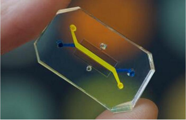 微流控微通道的肺泡芯片 微流控微通道的肺泡芯片