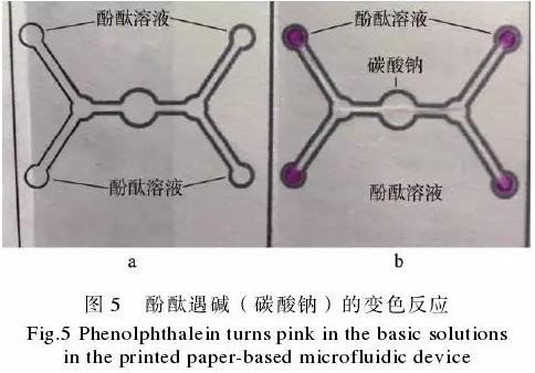 為了驗證紙包裝與紙基微流控芯片的整合技術(shù)，在紙盒的4個體板上分別制作了4個微流控芯片，該紙基芯片在pH值檢測中的應(yīng)用示例見圖5。