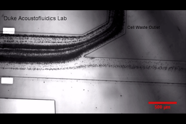 聲波取外泌體診斷癌癥技術