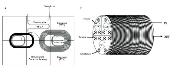 圖3  螺旋通道型 PCR裝置: ( A) 平面螺旋通道 PCR 裝置，( B) 圓柱螺旋通道 PCR裝置
