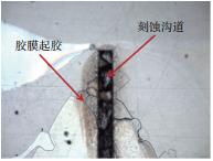 圖8? 刻蝕導致膠膜脫落失效 圖8? 刻蝕導致膠膜脫落失效
