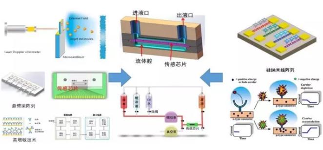 微納機械結構生化傳感器 微納機械結構生化傳感器