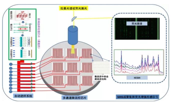 高增敏金屬納米結構材料與聚集體生化傳感器研究 高增敏金屬納米結構材料與聚集體生化傳感器研究