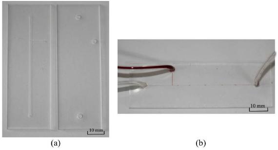 二氧化碳激光器加工完成的微流控芯片(PMMA材質,液滴產生器) 二氧化碳激光器加工完成的微流控芯片(PMMA材質,液滴產生器)
