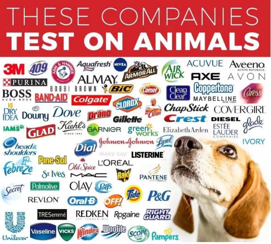 全球藥物研發(fā)在動物身上測試圖 全球藥物研發(fā)在動物身上測試圖