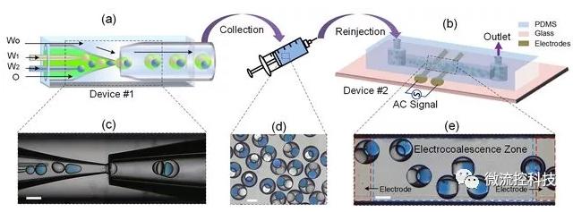 哈工大在微流控納升級微反應器研究領域取得新進展