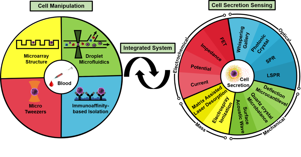 基于微流體系統的單細胞生物檢測技術