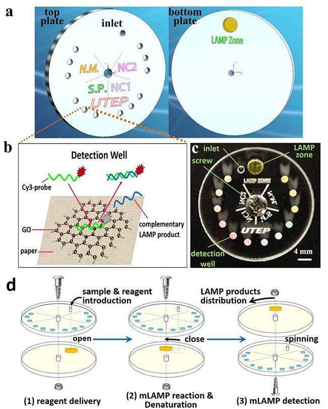 小小可旋轉CD生物芯片實現多種傳染性疾病的及時定量診斷 小小可旋轉CD生物芯片實現多種傳染性疾病的及時定量診斷