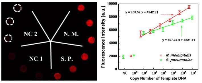 微流控生物芯片在醫療診斷應用 微流控生物芯片在醫療診斷應用